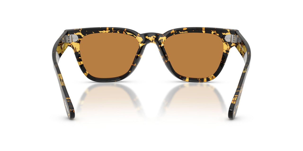177853 - Tortoise - Cognac