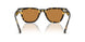177853 - Tortoise - Cognac