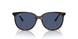710/80 - Tortoise - Dark Blue