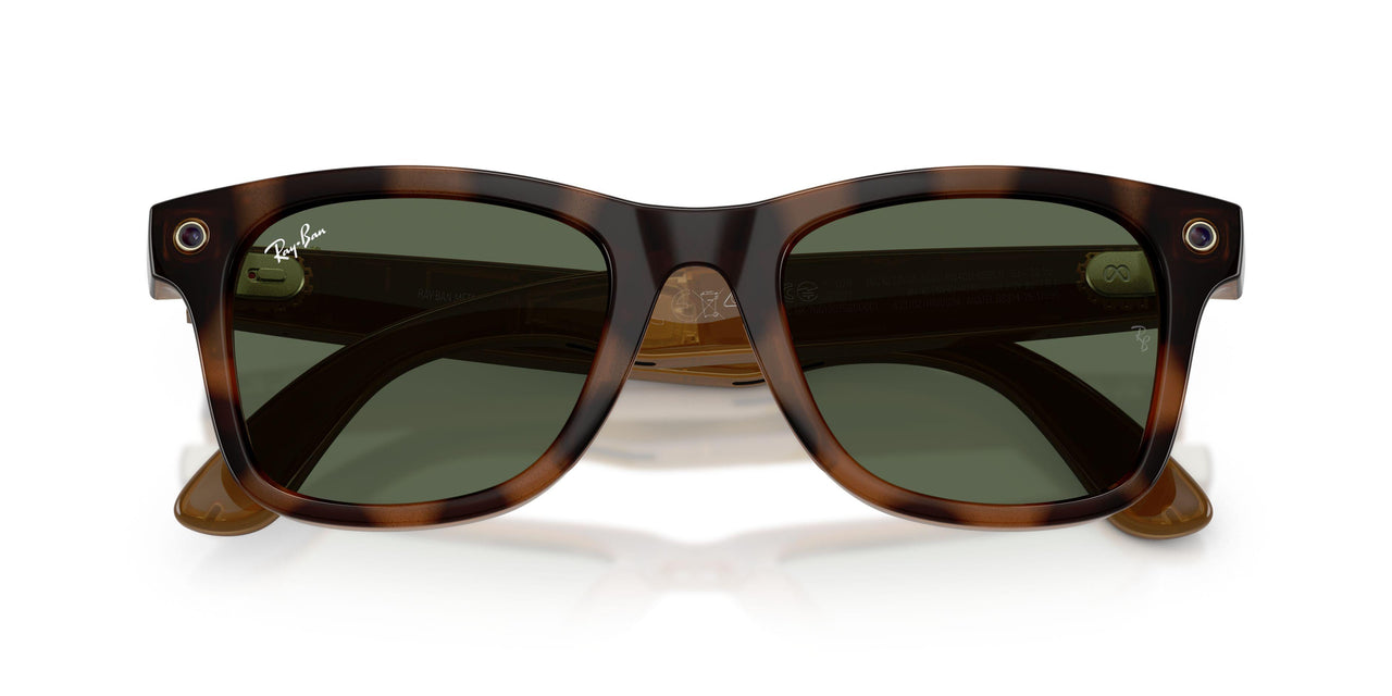 690571 - Tortoise - G-15 Green