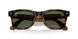 690571 - Tortoise - G-15 Green
