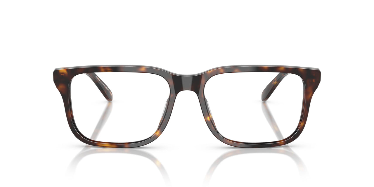 5026 - Tortoise