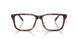 5026 - Tortoise