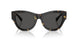 410687 - Tortoise - Dark Grey
