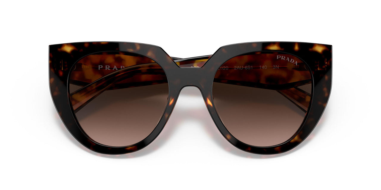 2AU6S1 - Havana - Brown Gradient