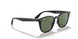 601/71 - Black - Green