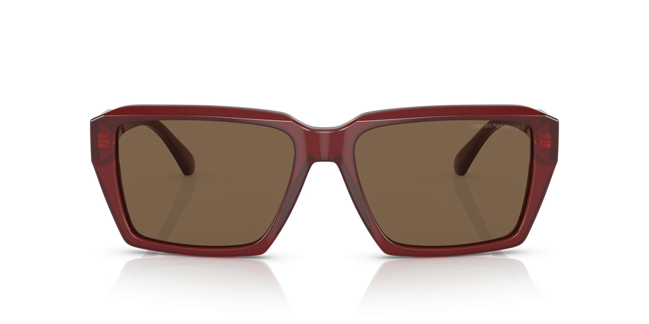 507573 - Red - Dark Brown