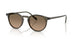 1820GN - Grey - Sandstone Gradient Polarized