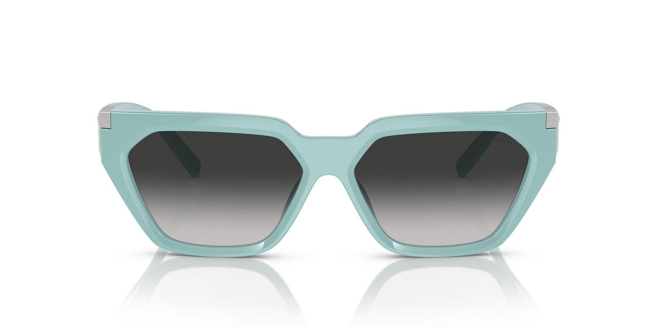 83883C - Blue - Grey Gradient