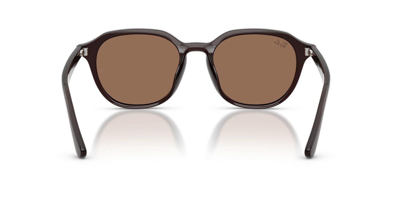623173 - Brown - Dark Brown