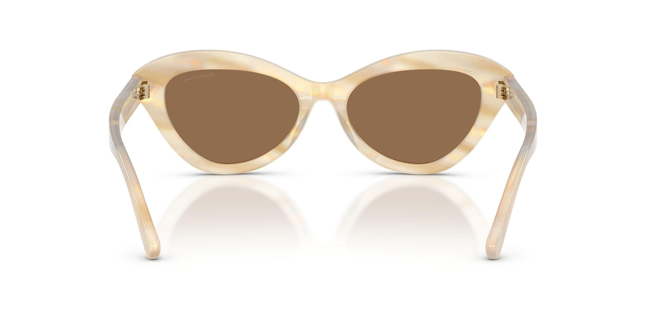 617673 - Brown - Light Brown