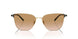 301313 - Gold - Gradient Brown