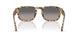 1056M3 - Tortoise - Polar Gradient Grey