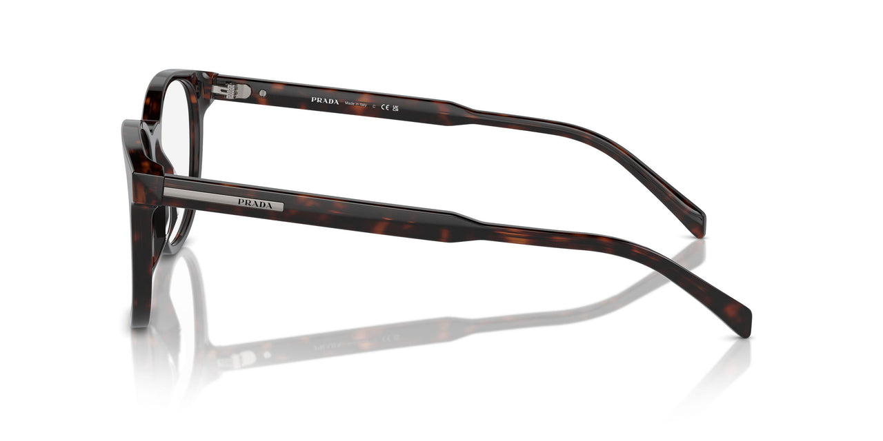 17N1O1 - Tortoise