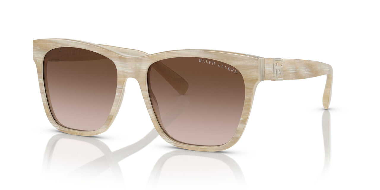 604813 - Tortoise - Gradient Brown