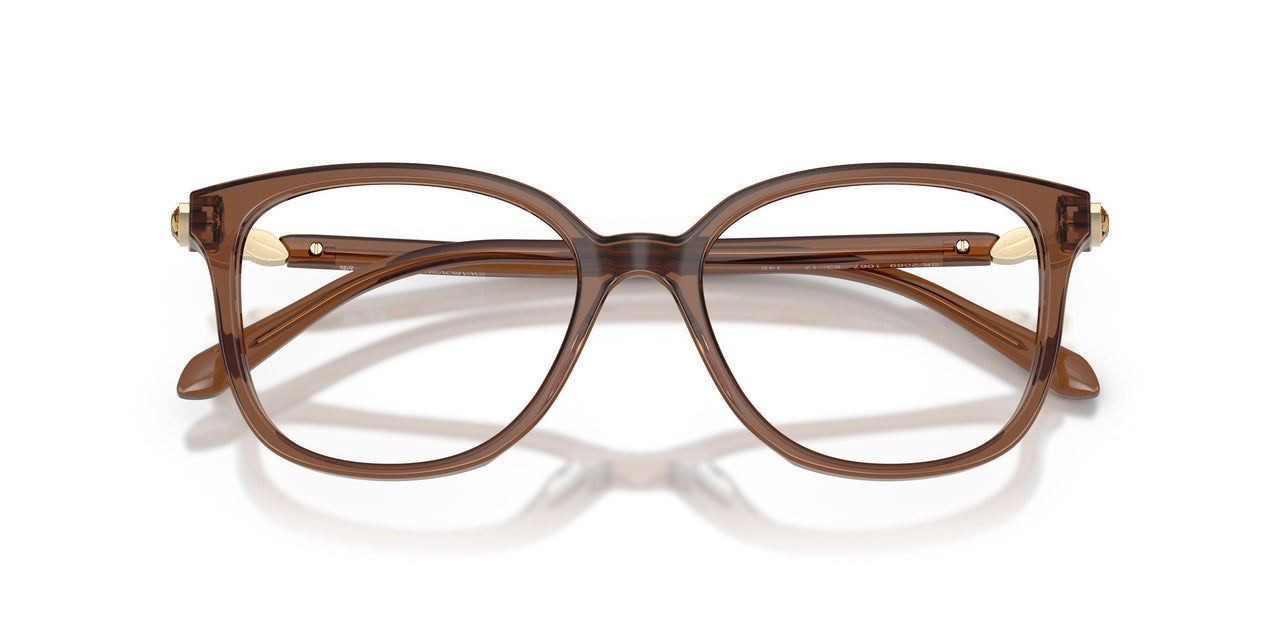 1067 - Brown