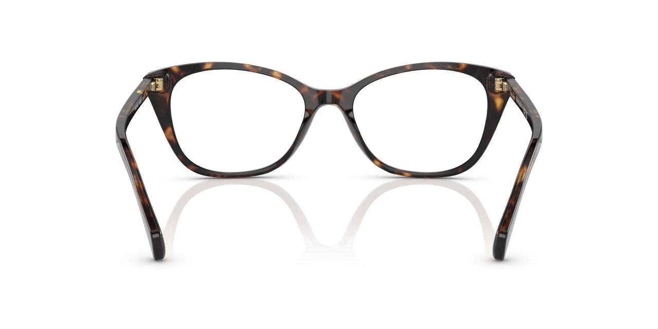 5003 - Tortoise