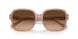 611474 - Brown - Gradient Brown