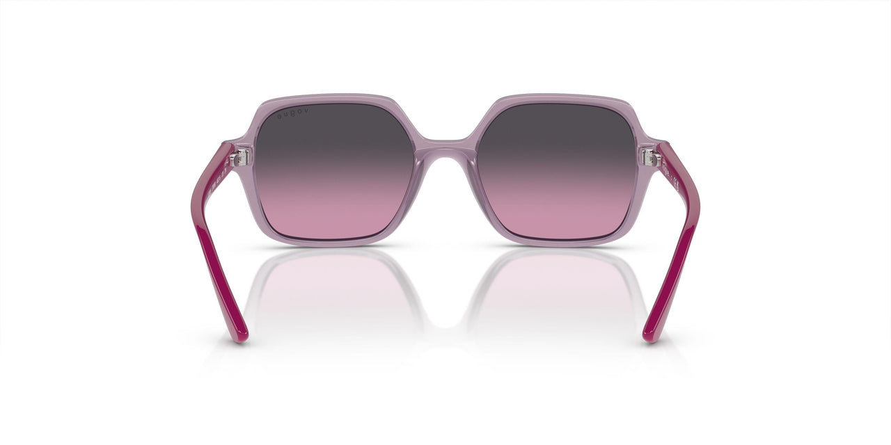 278090 - Pink - Violet Gradient Grey