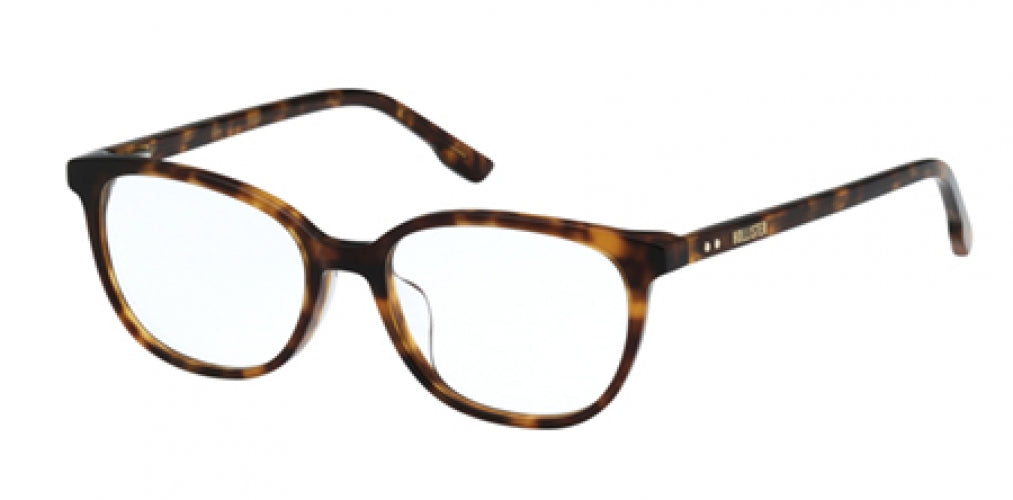 HOLLISTER 50017 Eyeglasses