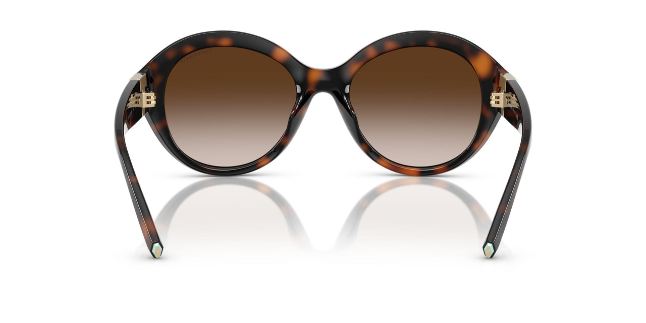80153B - Tortoise - Brown Gradient