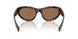 502/73 - Tortoise - Dark Brown
