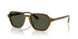 617231 - Green - Green