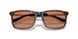 502673 - Tortoise - Brown