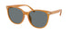 Coach Cw428 8414BD Sunglasses