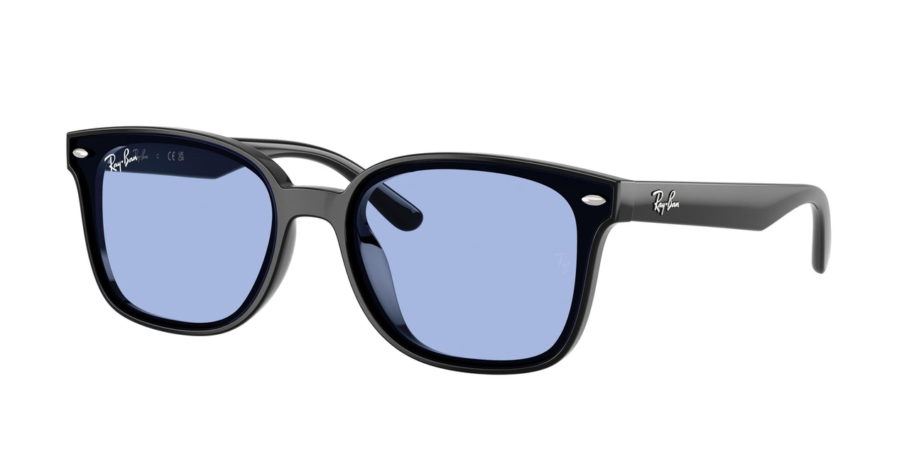 Ray-Ban 4461D Sunglasses