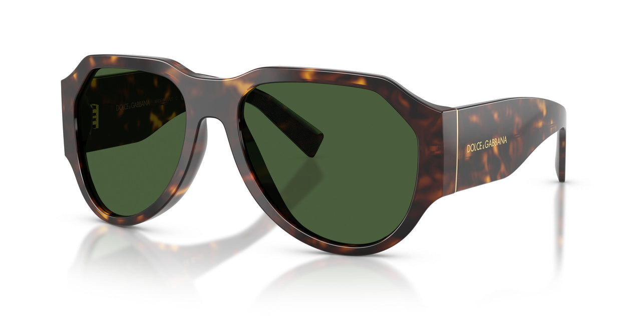 502/71 - Tortoise - Dark Green