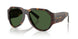 502/71 - Tortoise - Dark Green