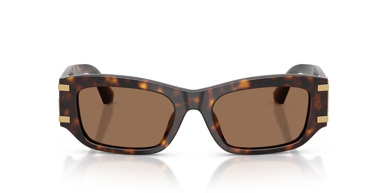 502/73 - Tortoise - Dark Brown
