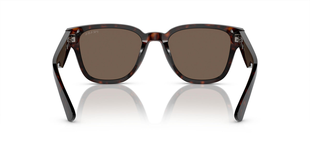 17N08T - Tortoise - Brown