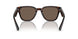 17N08T - Tortoise - Brown