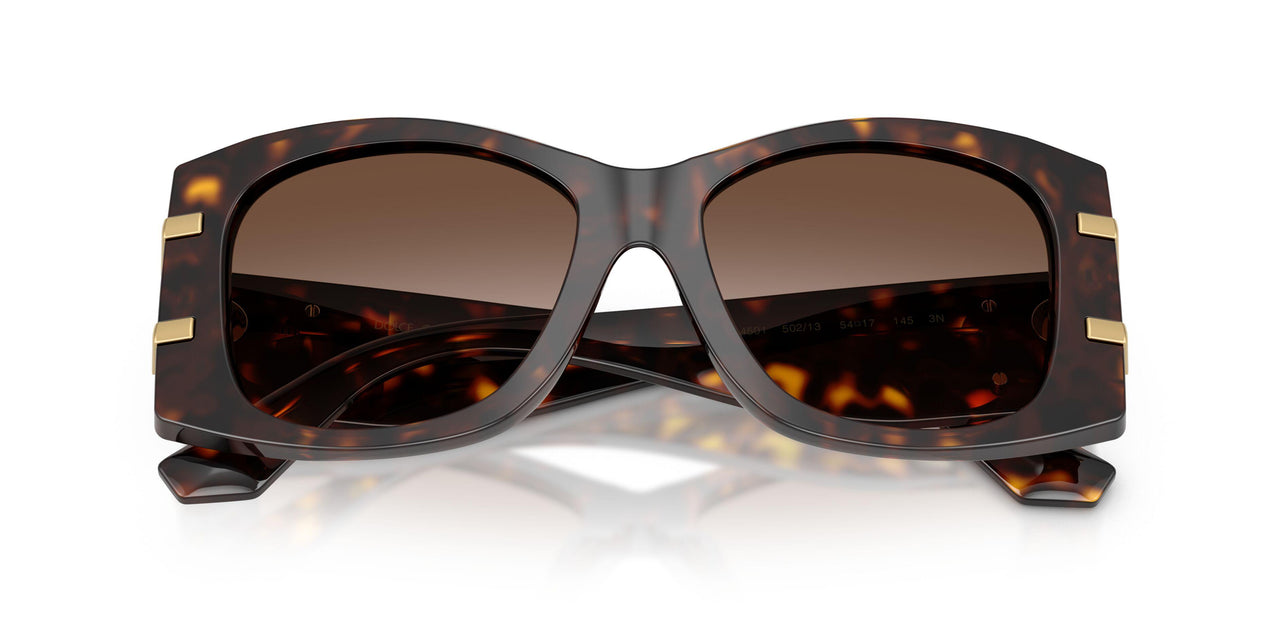 502/13 - Tortoise - Gradient Brown