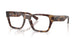 8460 - Tortoise - Clear