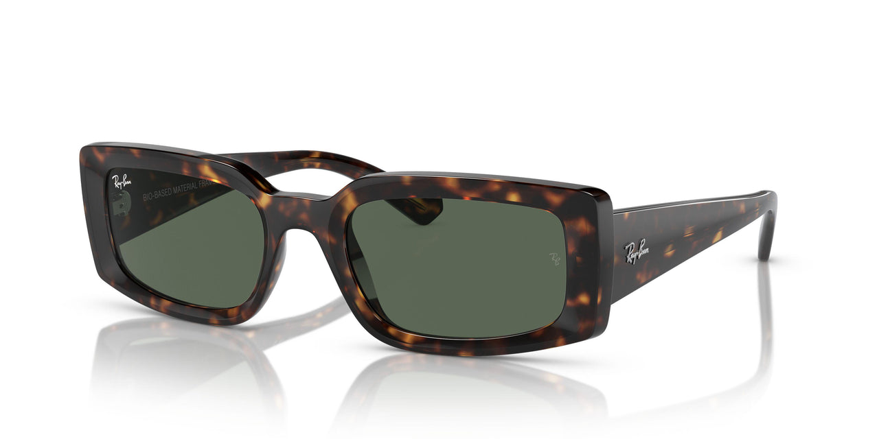 135971 - Tortoise - Dark Blue