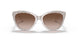 309213 - White - Brown Gradient