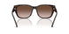 202213 - Tortoise - Brown Gradient