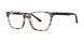 Fashiontabulous 10X255 Eyeglasses