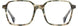 STATE Optical Co. GERMANIA Eyeglasses