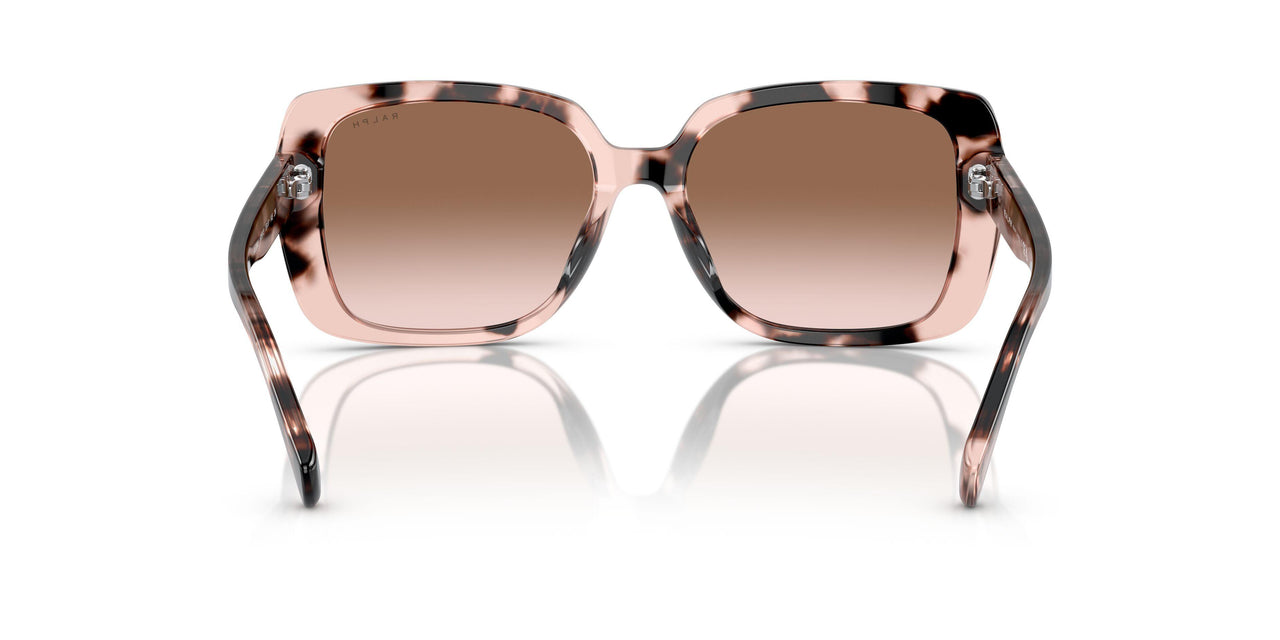 605813 - Pink - Gradient Brown