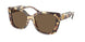 199573 - Tortoise - Dark Brown
