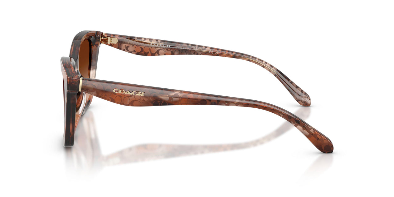 596574 - Brown - Brown Gradient