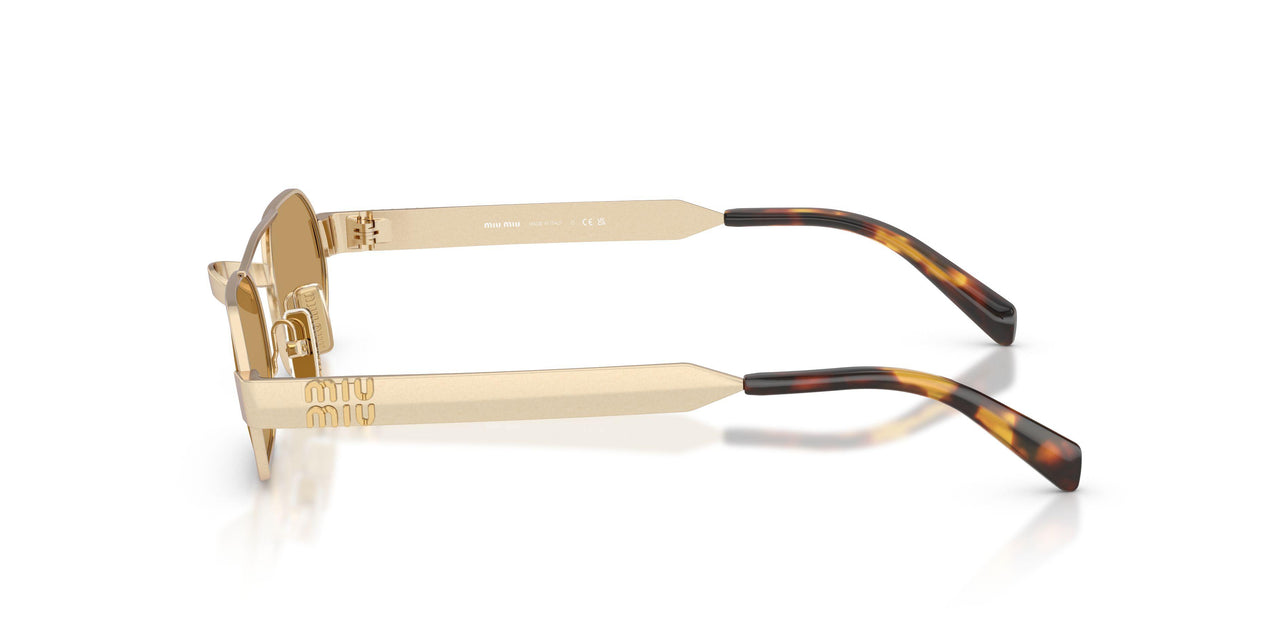 22M10Y - Gold - Brown