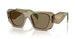 29E90F - Brown - Light Brown