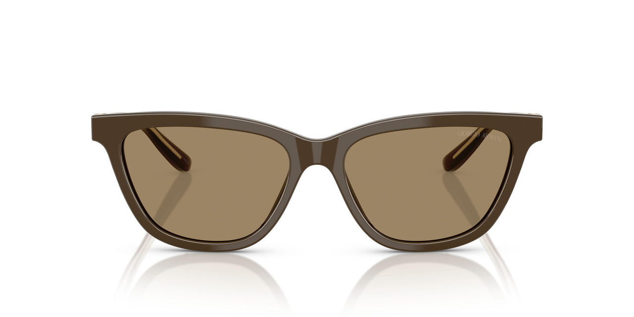 595753 - Brown - Brown