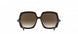 6130 - Toffee Brown - SLM Dark Brown Gradient