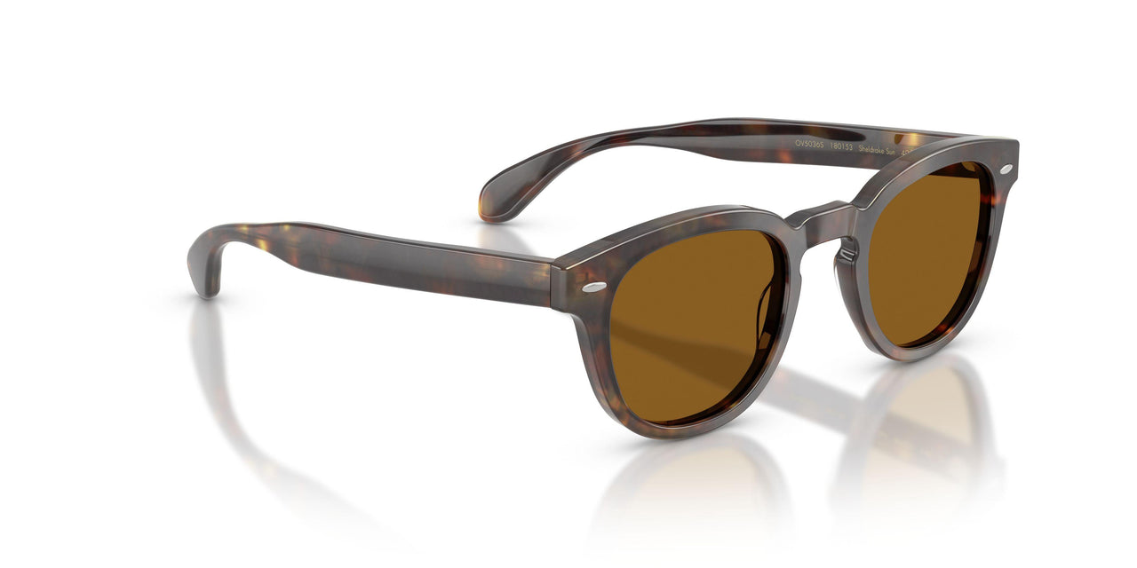 180153 - Brown - True Brown